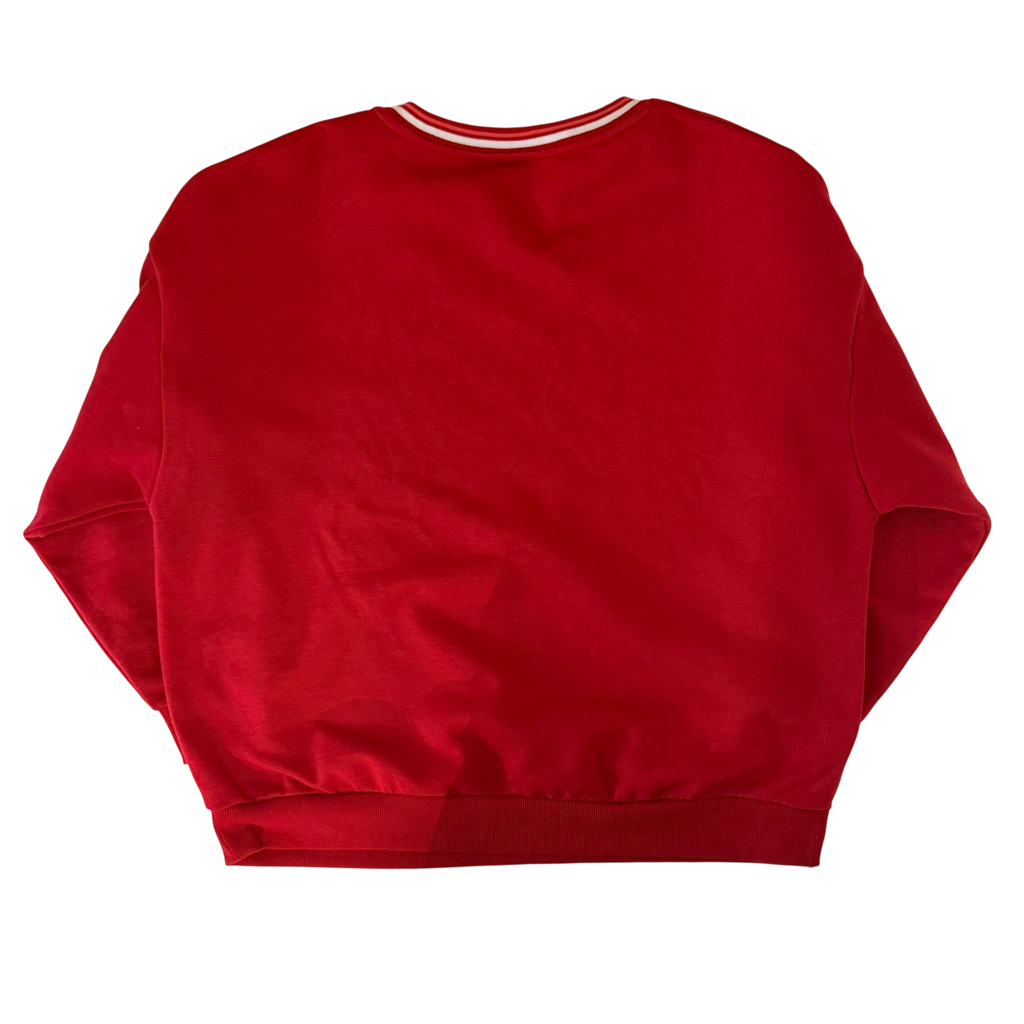 NBA EMBROIDERED CHICAGO BULLS SWEATER (M)