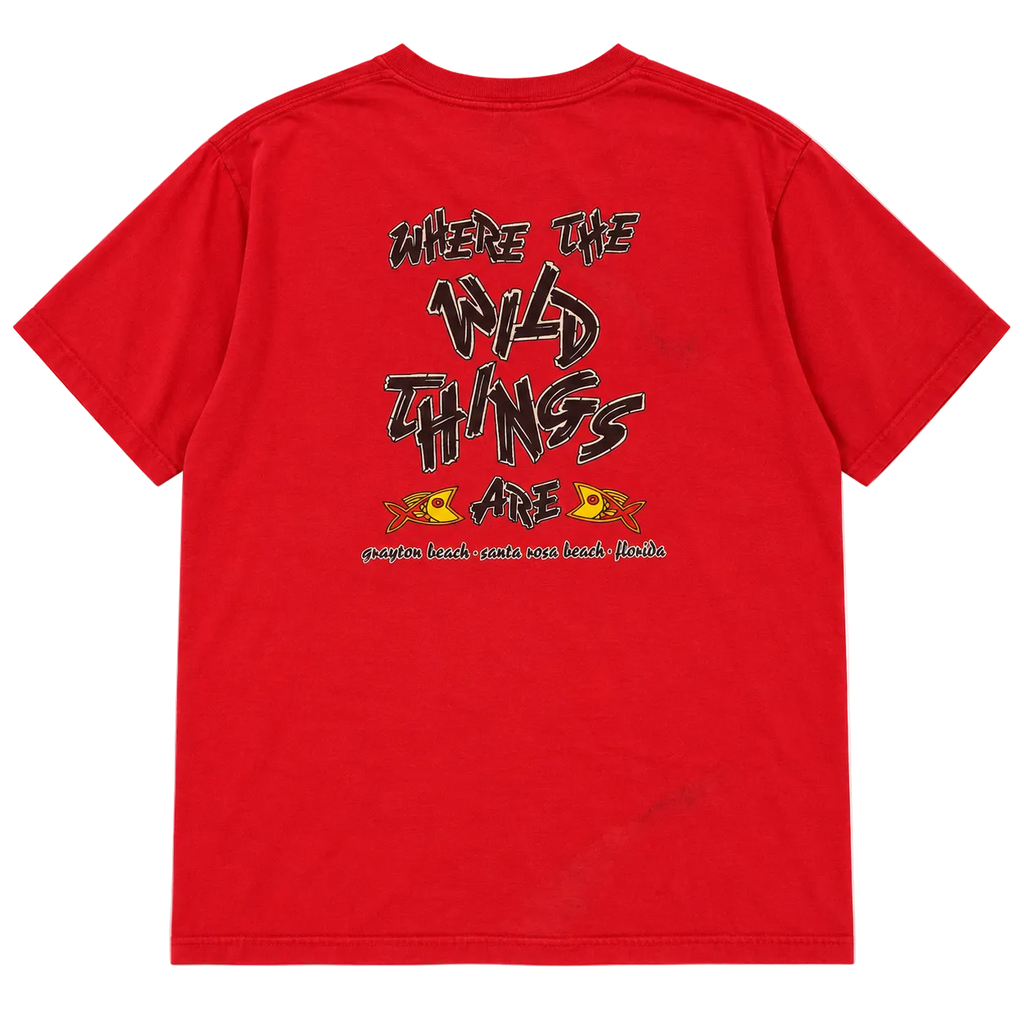 COMFORT COLORS ZOO GALLERY WILD THINGS GRAPHIC TEE (XL)