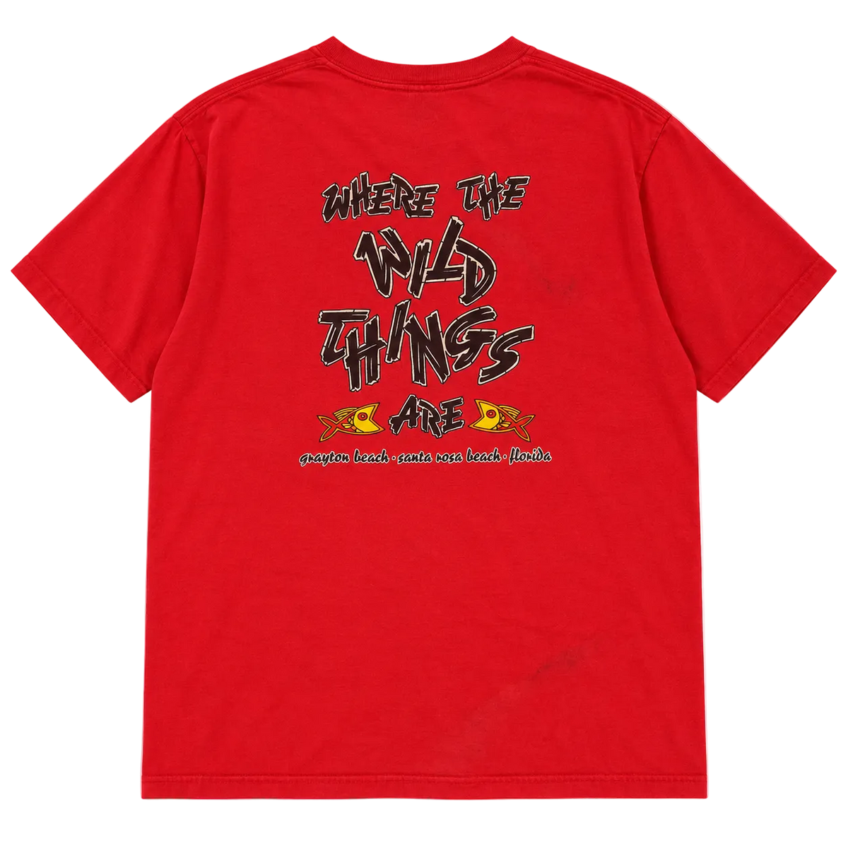COMFORT COLORS ZOO GALLERY WILD THINGS GRAPHIC TEE (XL)