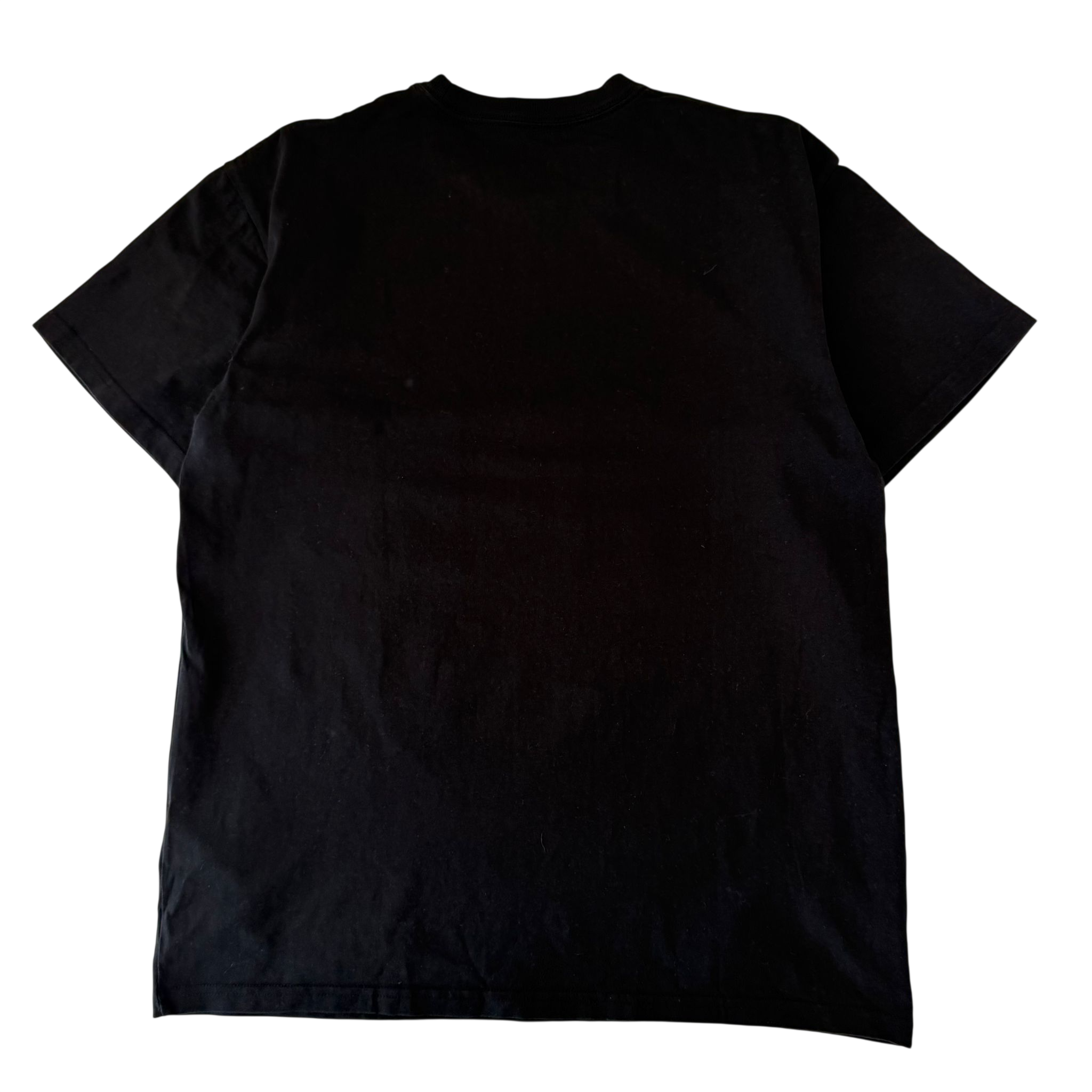 CARHARTT WIP CHASE TEE (M)