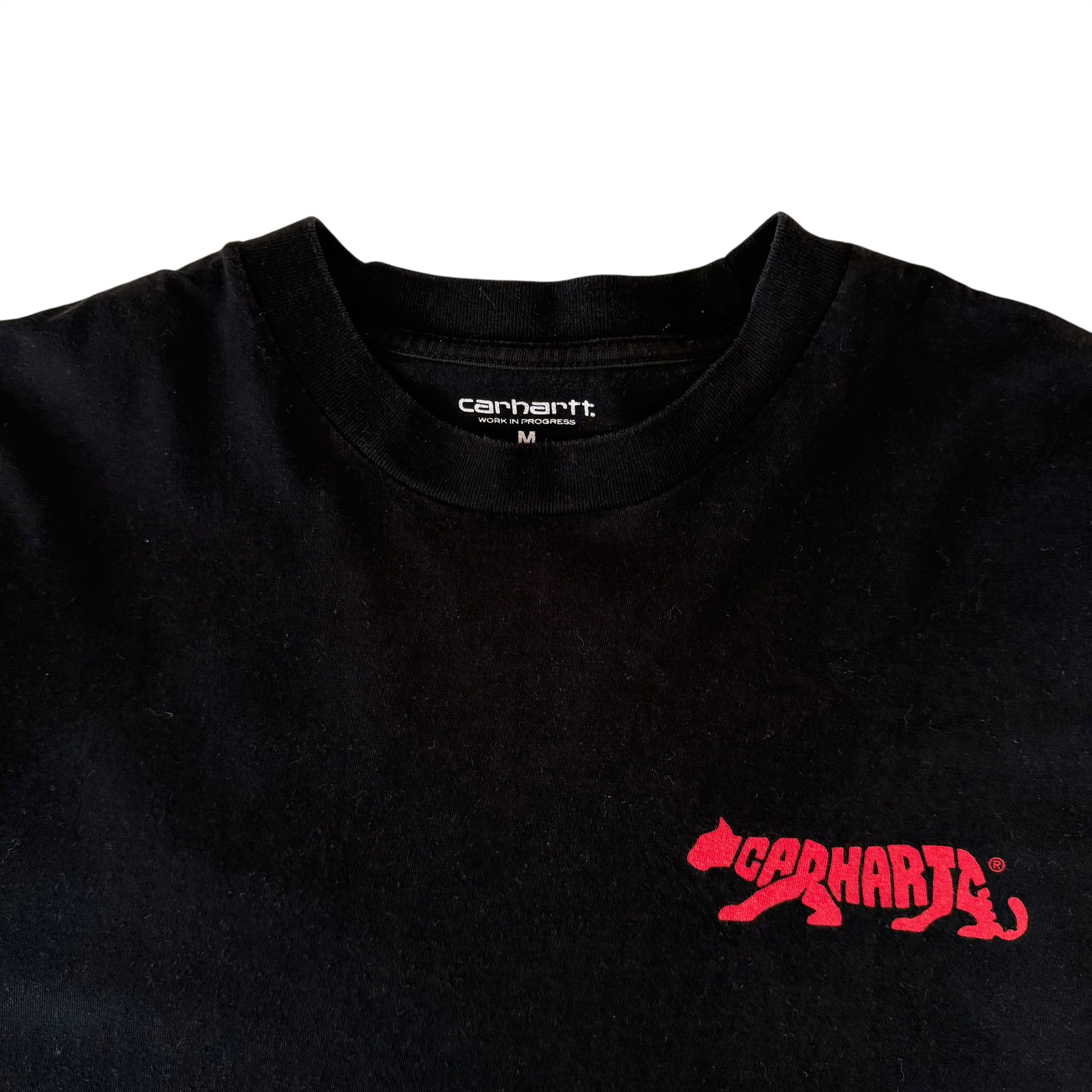 CARHARTT WIP ROCKY TEE (M)