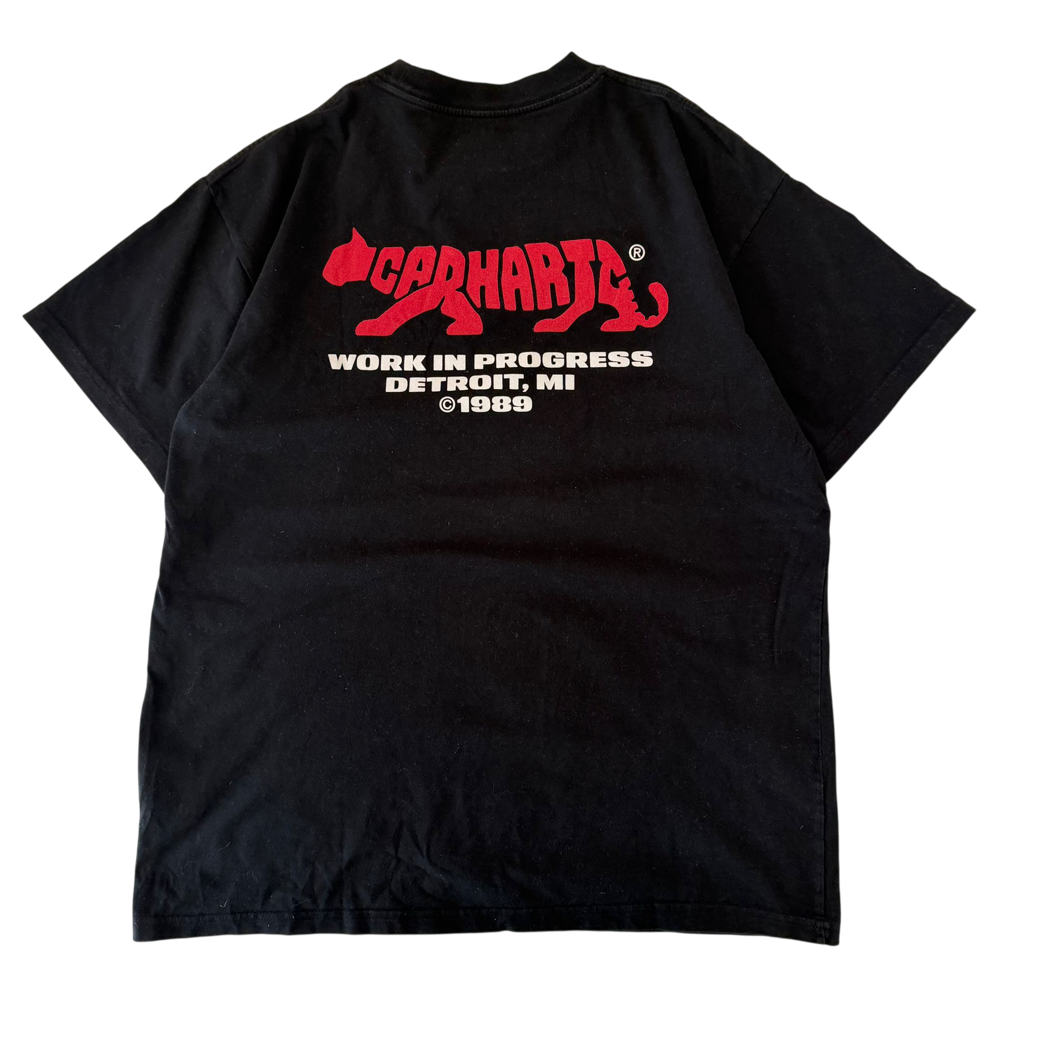 CARHARTT WIP ROCKY TEE (M)