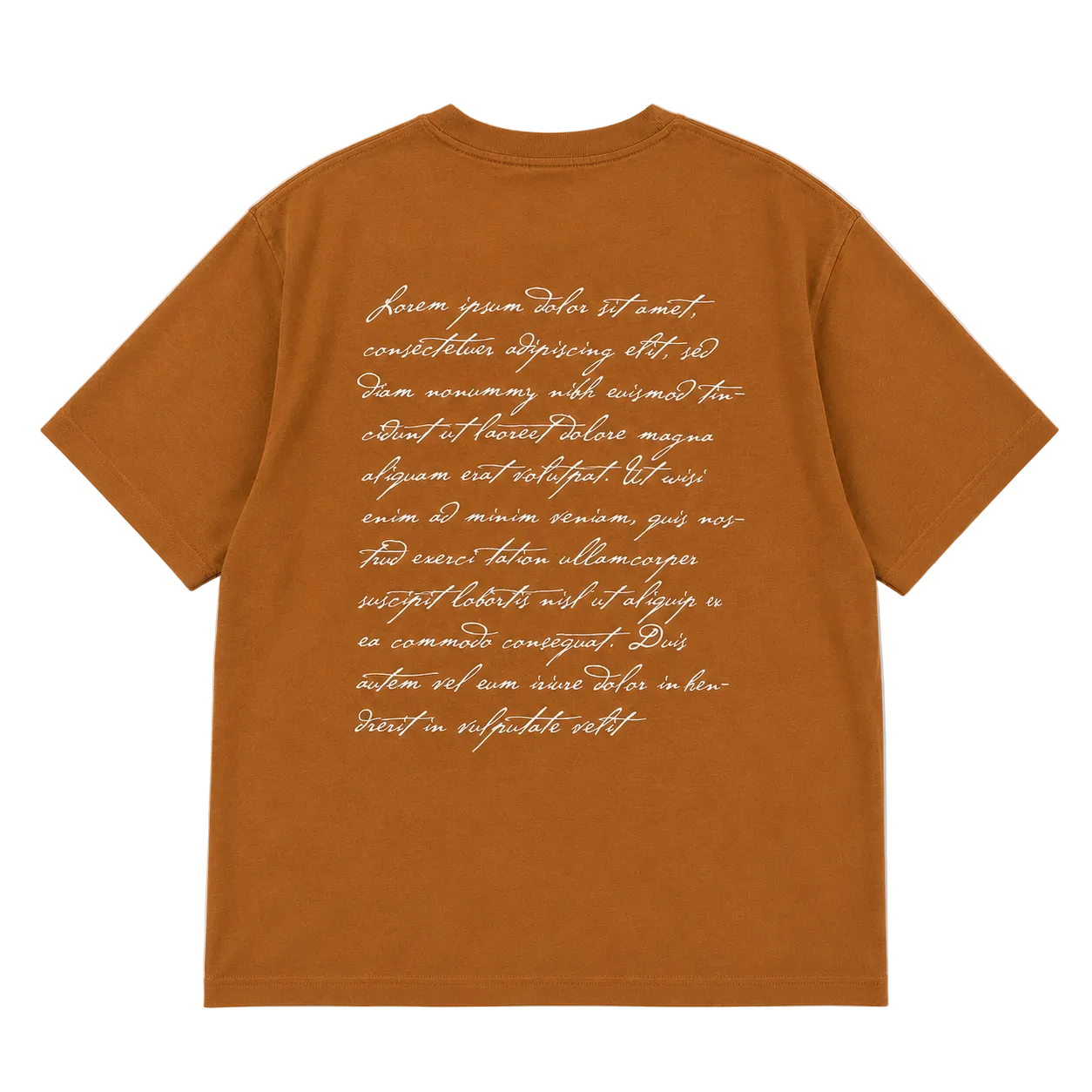DIME SECRET TEE (L)