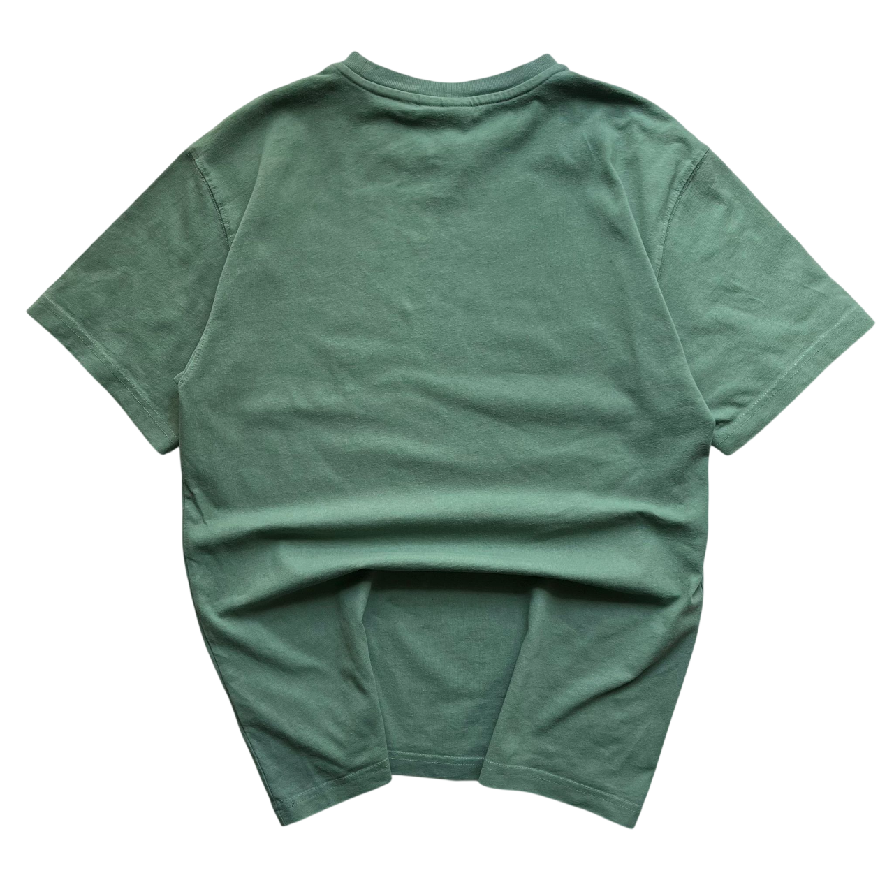 DICKIES UNION SPRINGS TEE (S)