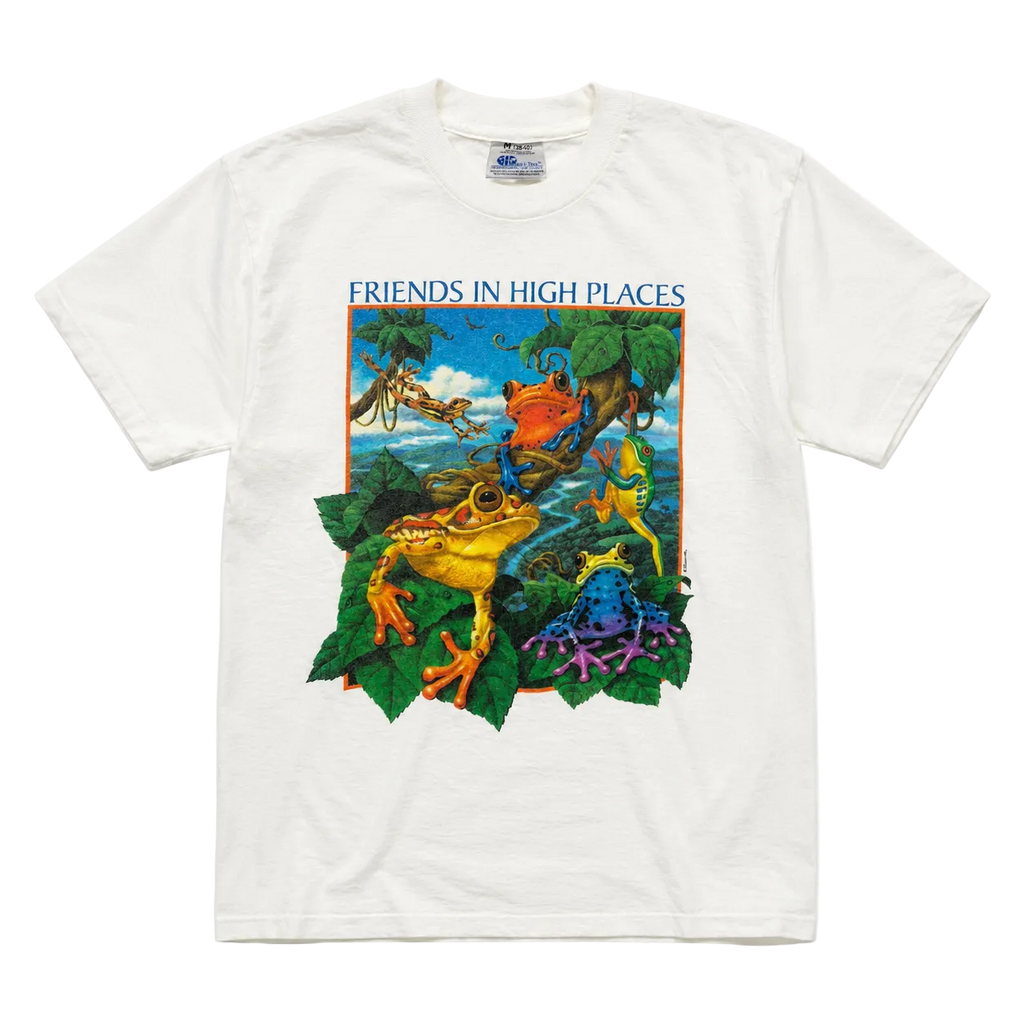 FRIENDS IN HIGH PLACES FROG 90S GRAPHIC TEE (M)