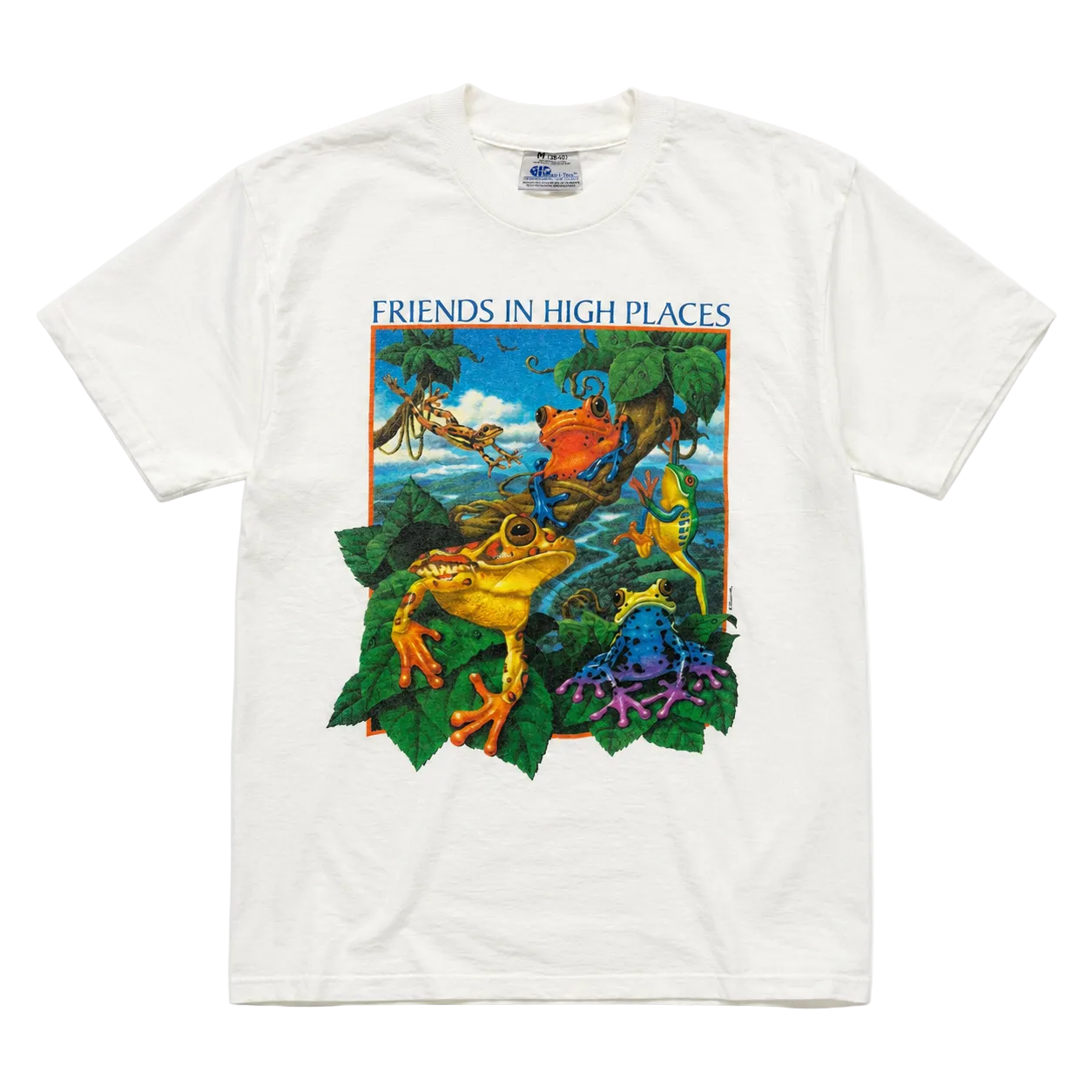 FRIENDS IN HIGH PLACES FROG 90S GRAPHIC TEE (M)