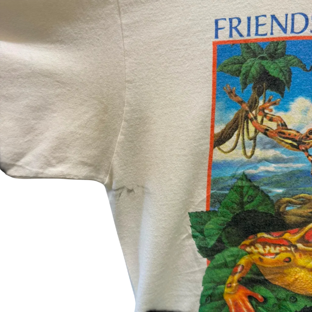 FRIENDS IN HIGH PLACES FROG 90S GRAPHIC TEE (M)