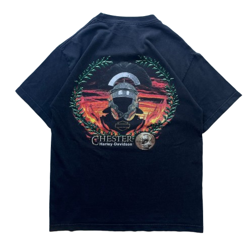 HARLEY DAVIDSON 2004 CHESTER GRAPHIC TEE (M)