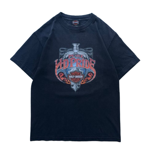 HARLEY DAVIDSON 2004 CHESTER GRAPHIC TEE (M)