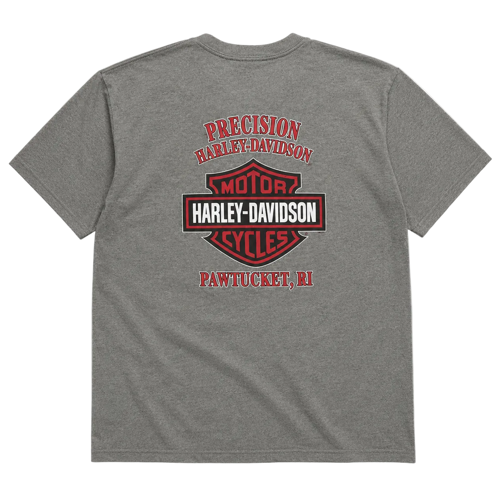 HARLEY DAVIDSON PAWTUCKET SNAKE TEE (L)