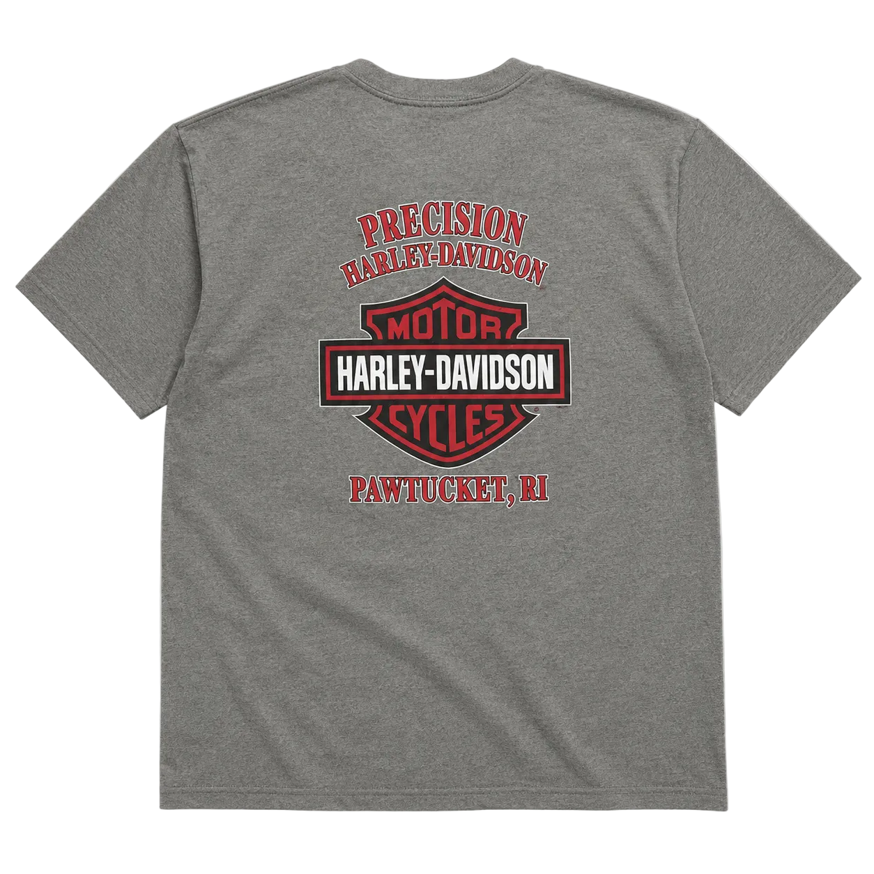 HARLEY DAVIDSON PAWTUCKET SNAKE TEE (L)