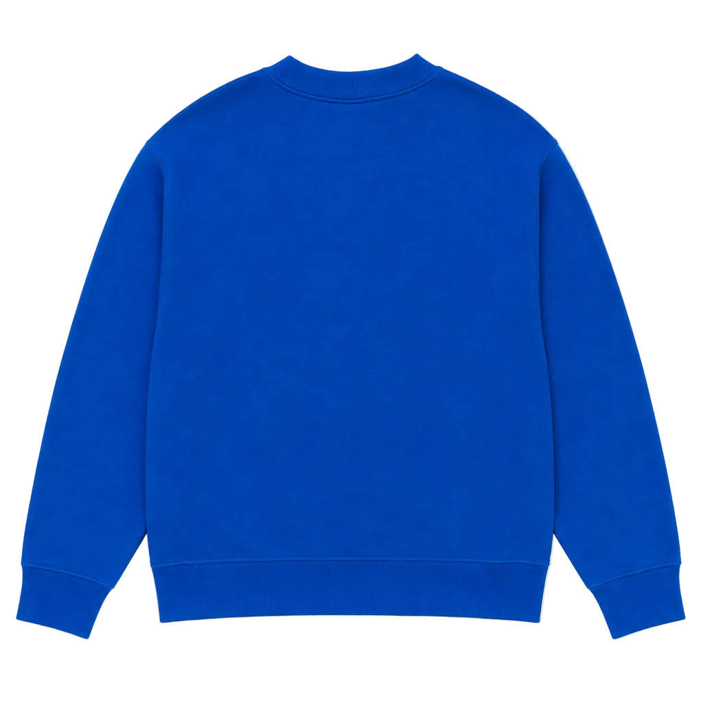 NFL LIONS NATIONAL FOOTBALL LEAGUE LOGO SWEATER (M)