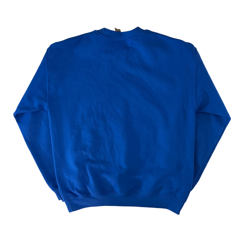 LOONEY TUNES SYRACUSE UNIVERSITY SWEATER (M)