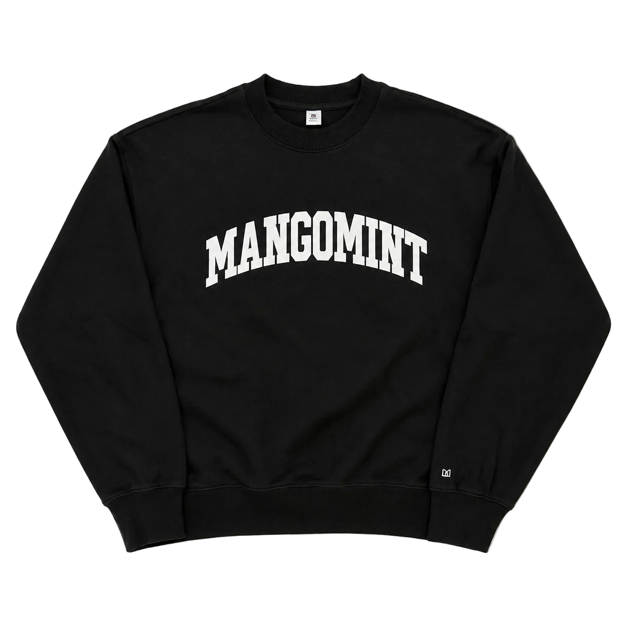 AS COLOR MANGOMINT UNIVERSITY SWEATER (L)