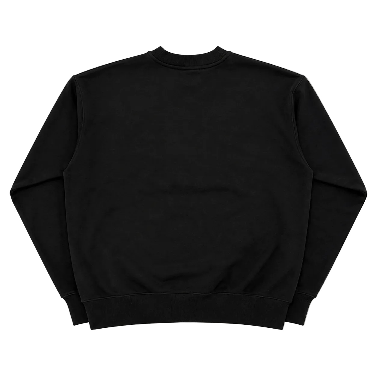 AS COLOR MANGOMINT UNIVERSITY SWEATER (L)