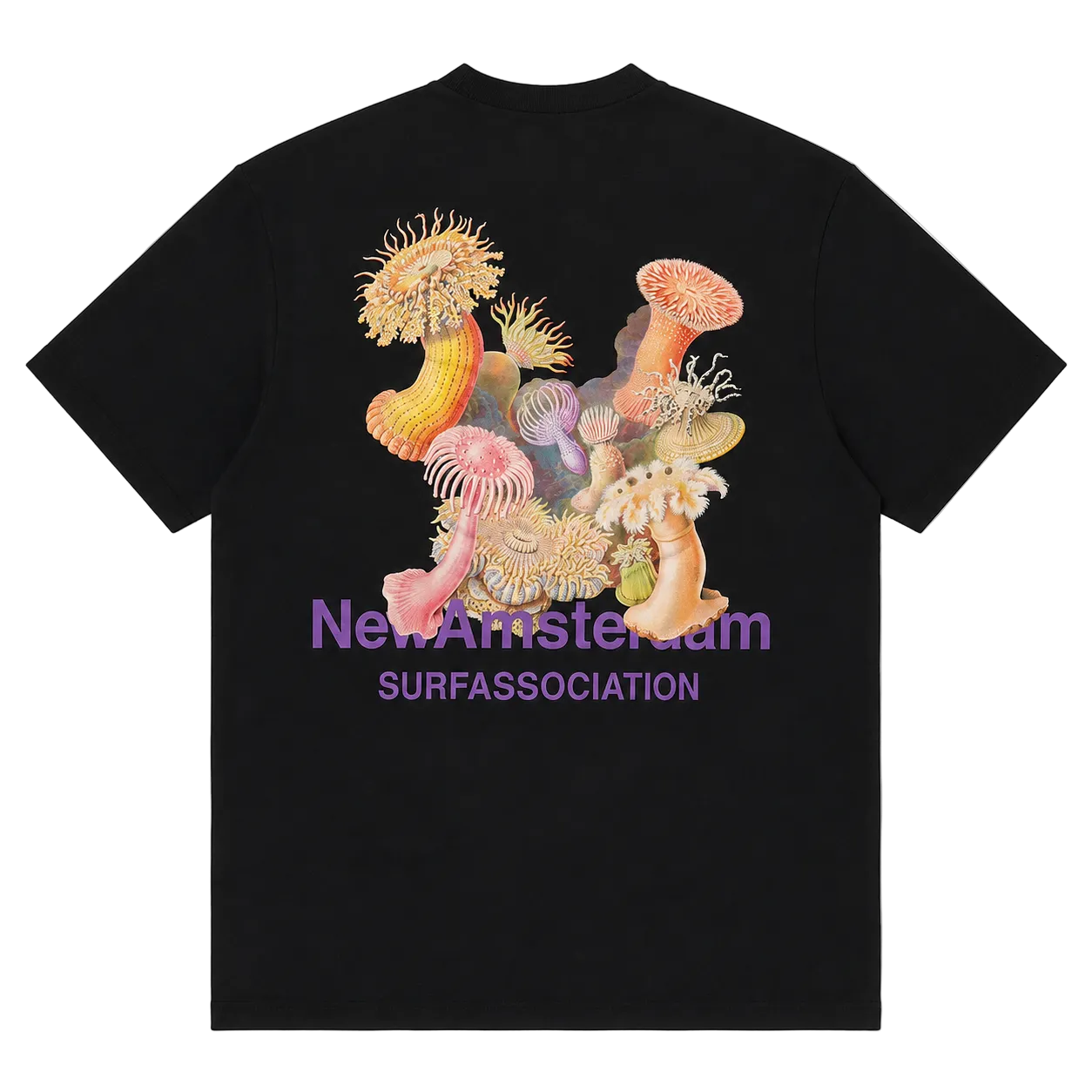 NEW AMSTERDAM SURF ASSOCIATION ANEMONE TEE (S)