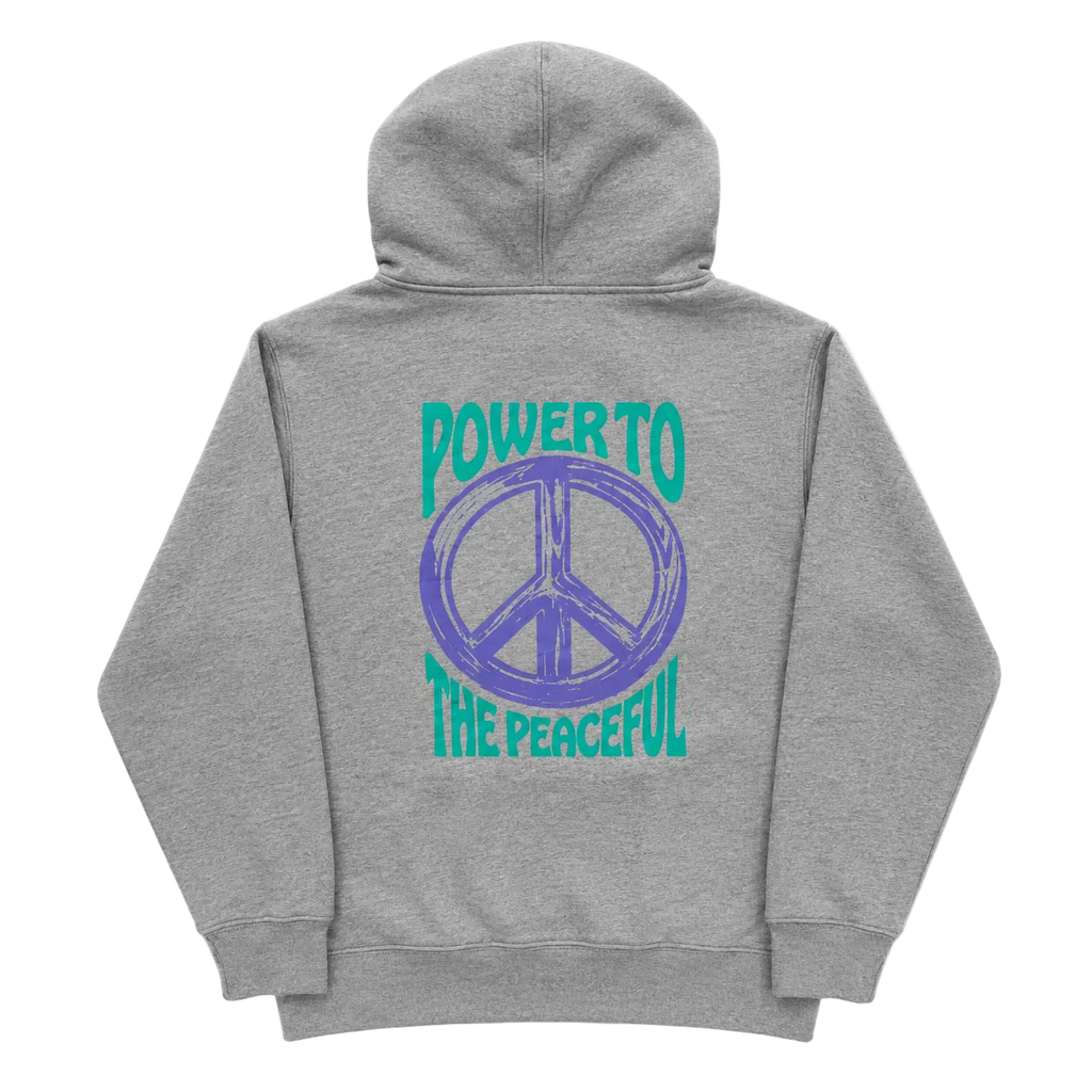 OBEY CHROMED OUT HOODIE (XS)
