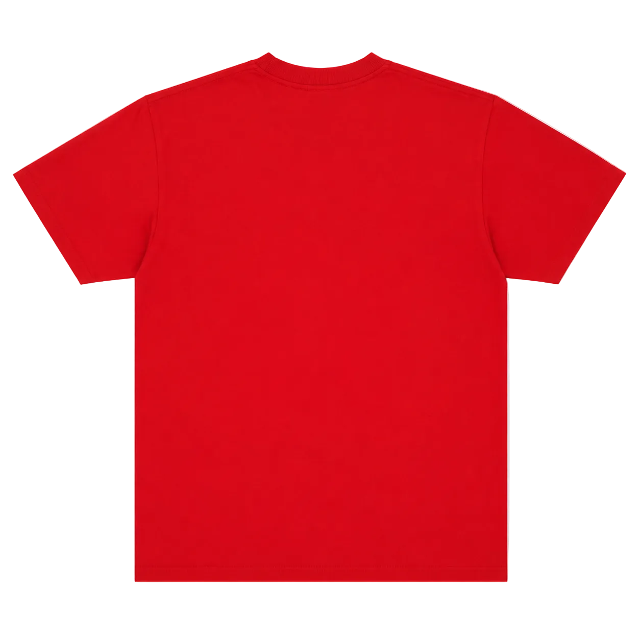 OBEY NOVEL TEE (M)