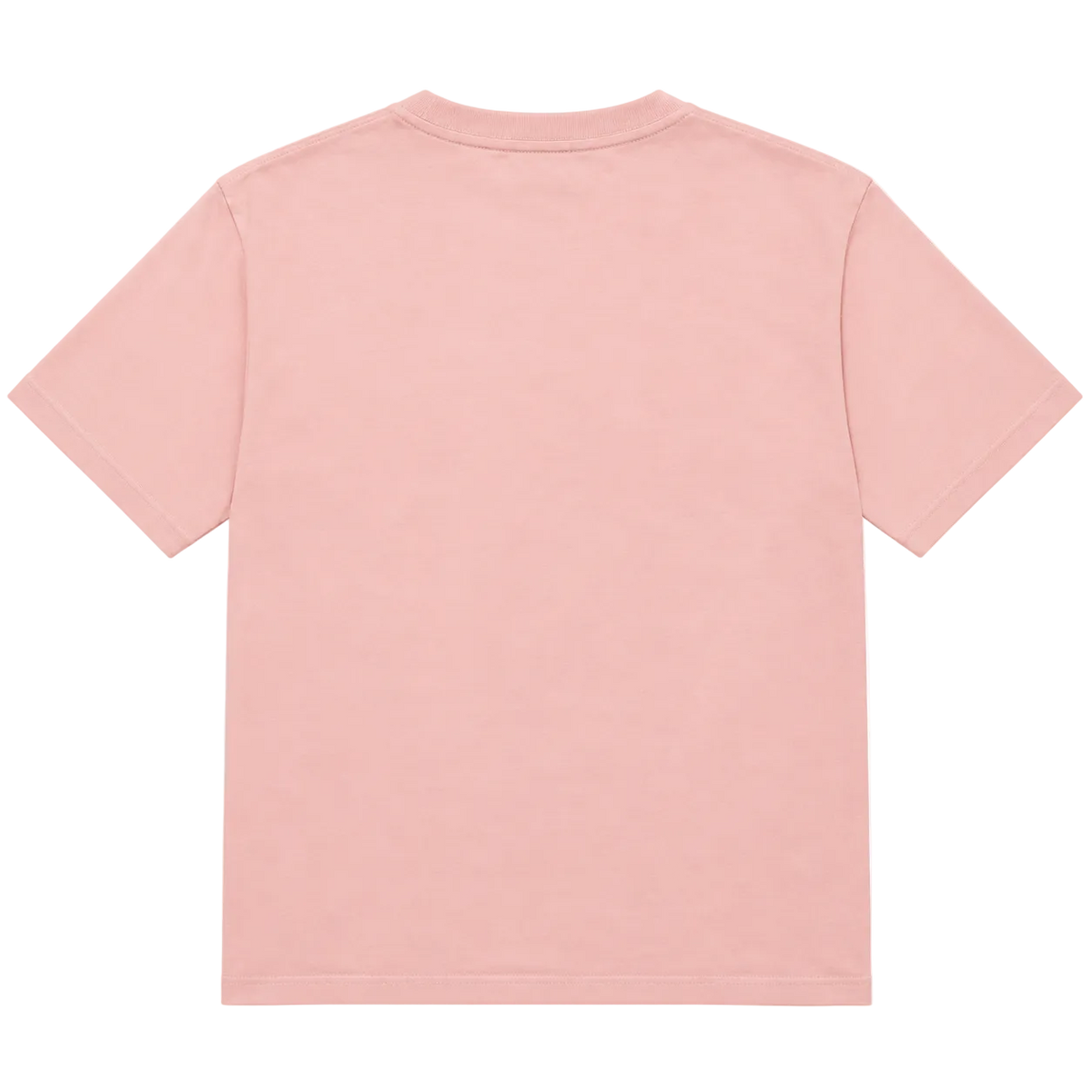 PARRA CAN'T HARDLY STAND IT TEE (M)