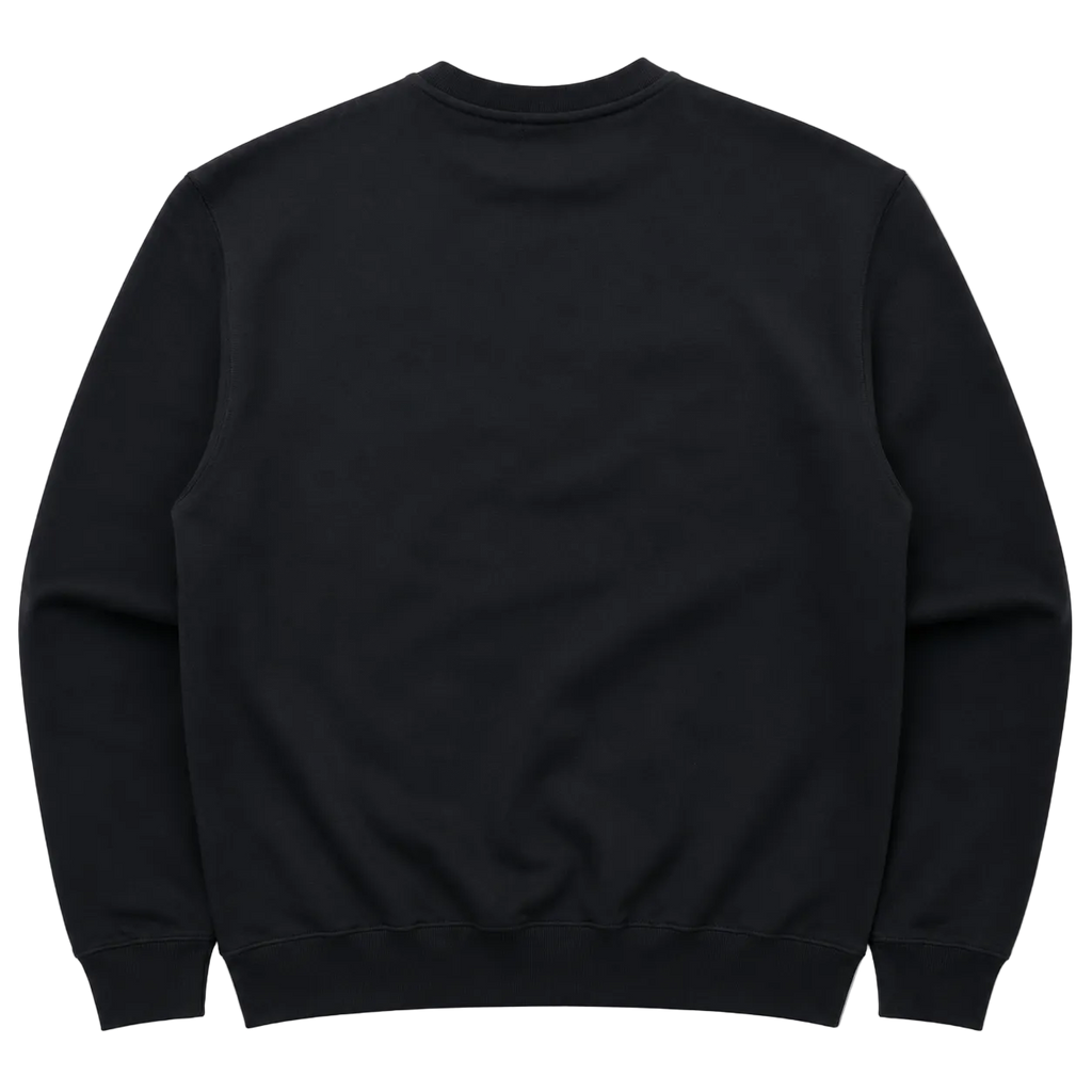 PLACES + FACES EMBROIDERED SPELLOUT SWEATER (L)