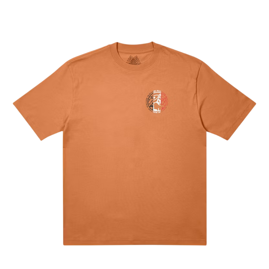 PALACE SKATEBOARDS CLASSICO TEE (L)
