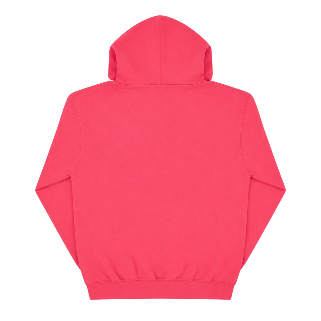 NARRAGANSETT RHODE ISLAND HOODIE (M)