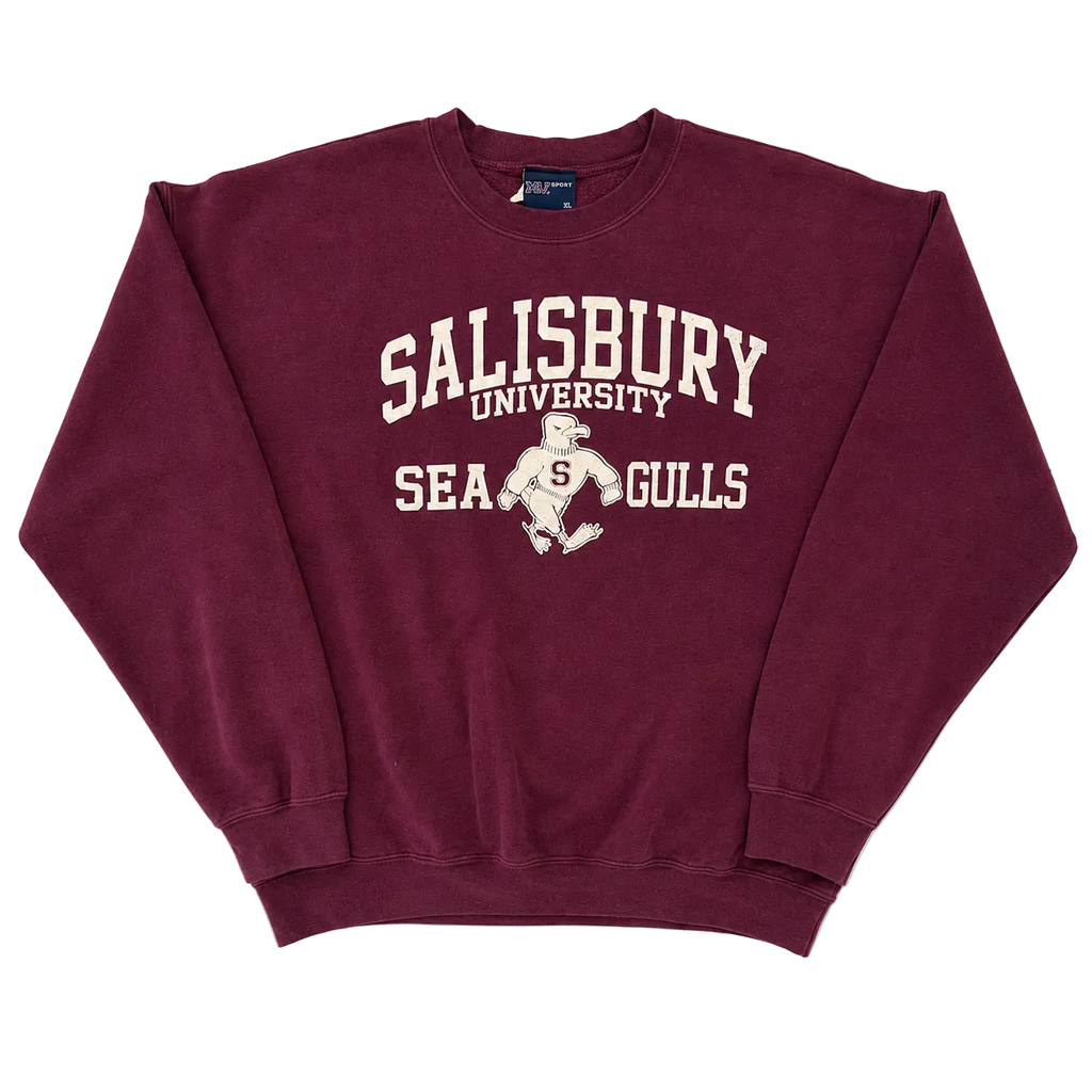 SALISBURY UNIVERSITY SEAGULLS SPELL OUT SWEATER (XL)