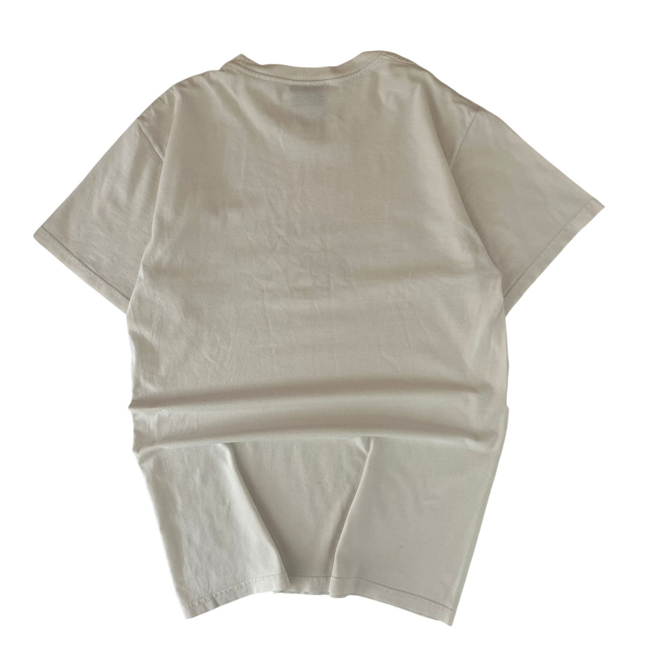 STUSSY STOCK LION PIG TEE (S)