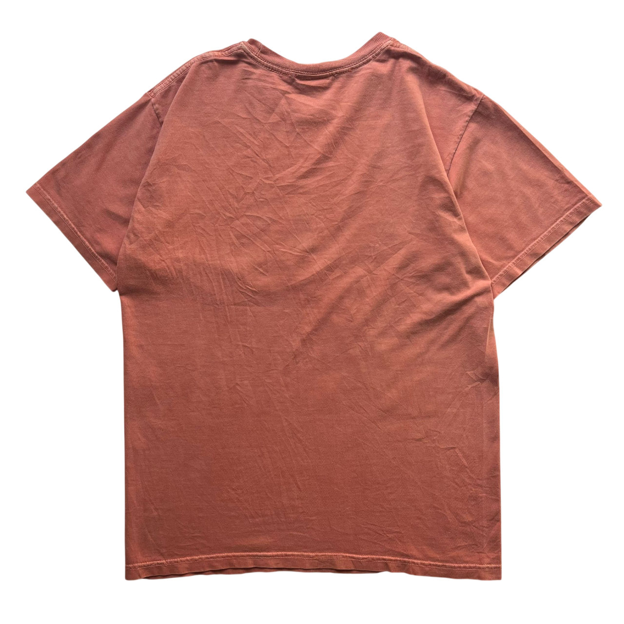 STUSSY FLOWER COLLEGIATE TEE (S)