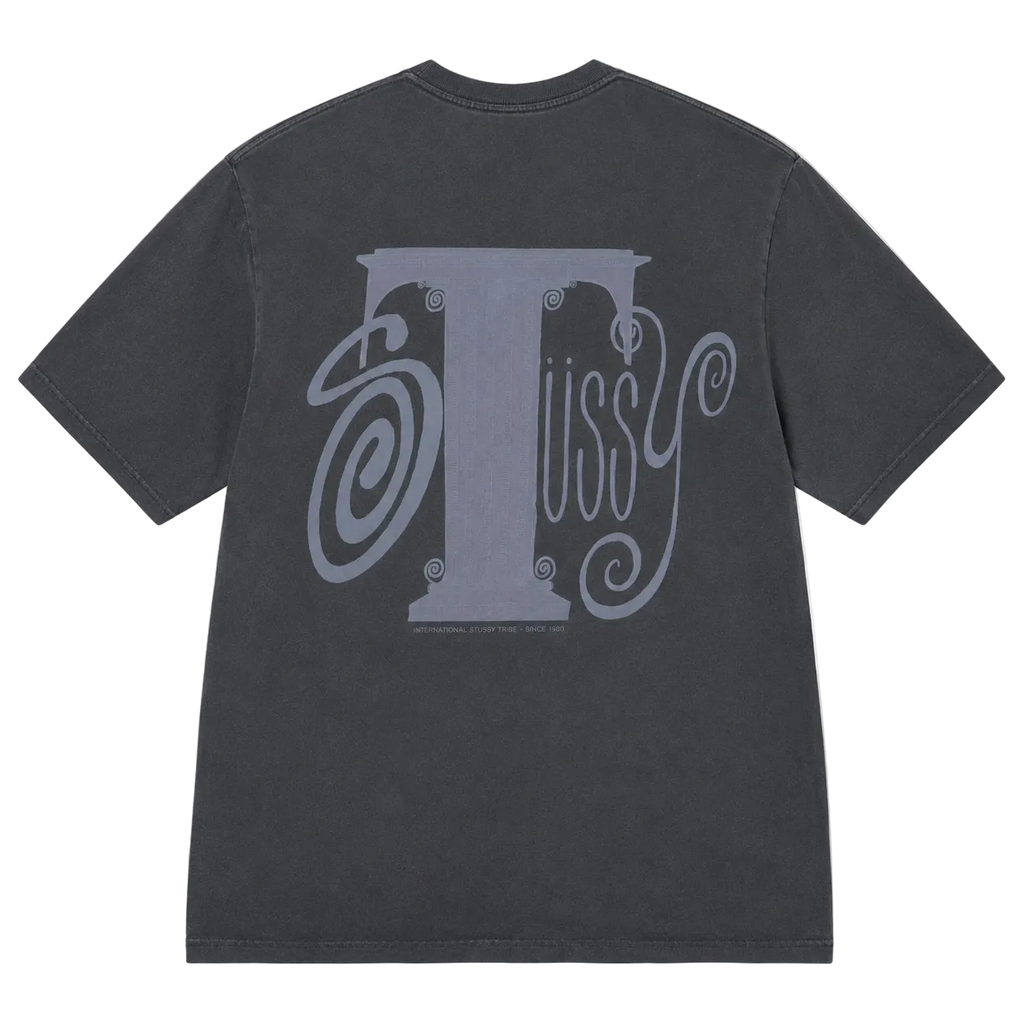 STUSSY COLUMN PIG DYED TEE (S)
