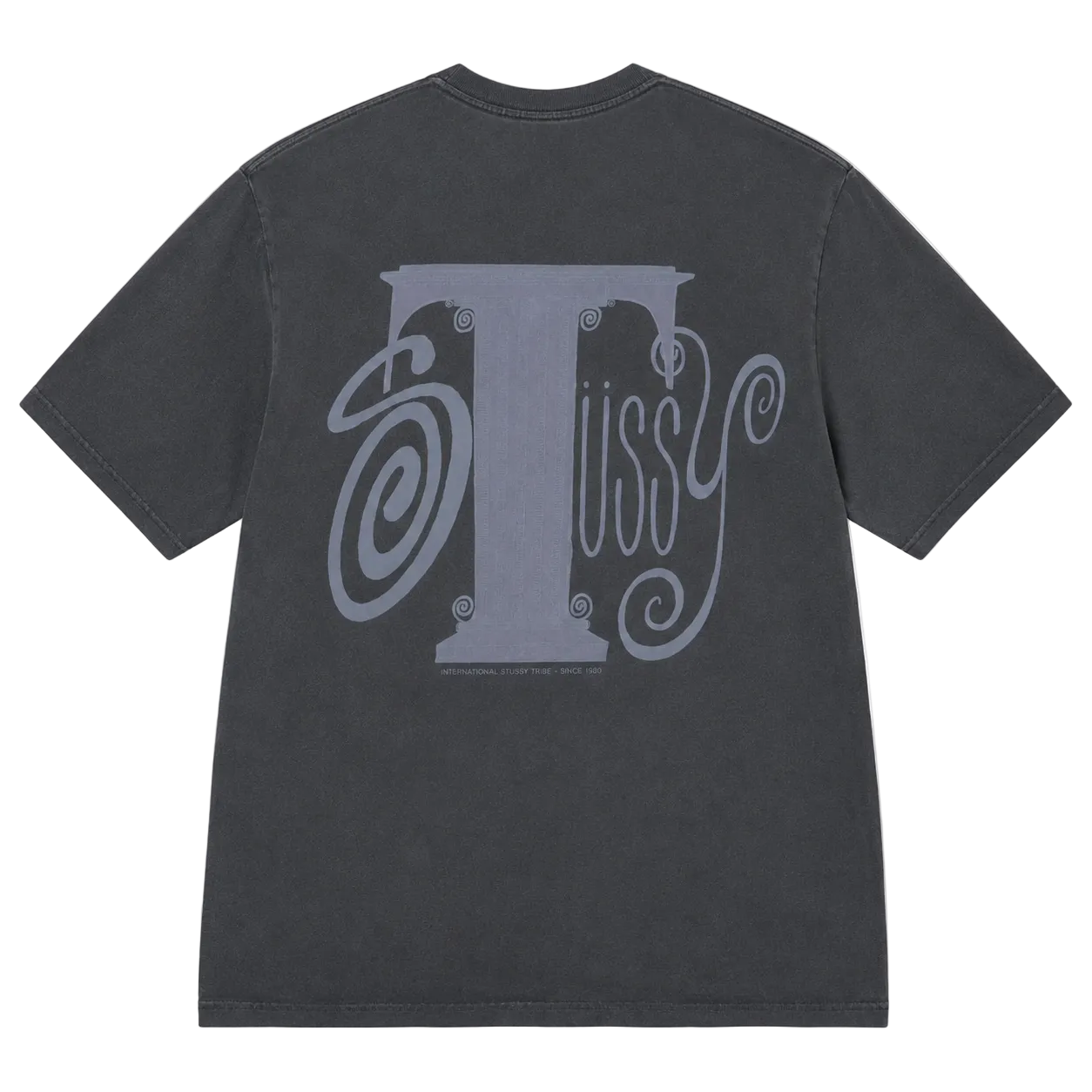 STUSSY COLUMN PIG DYED TEE (S)