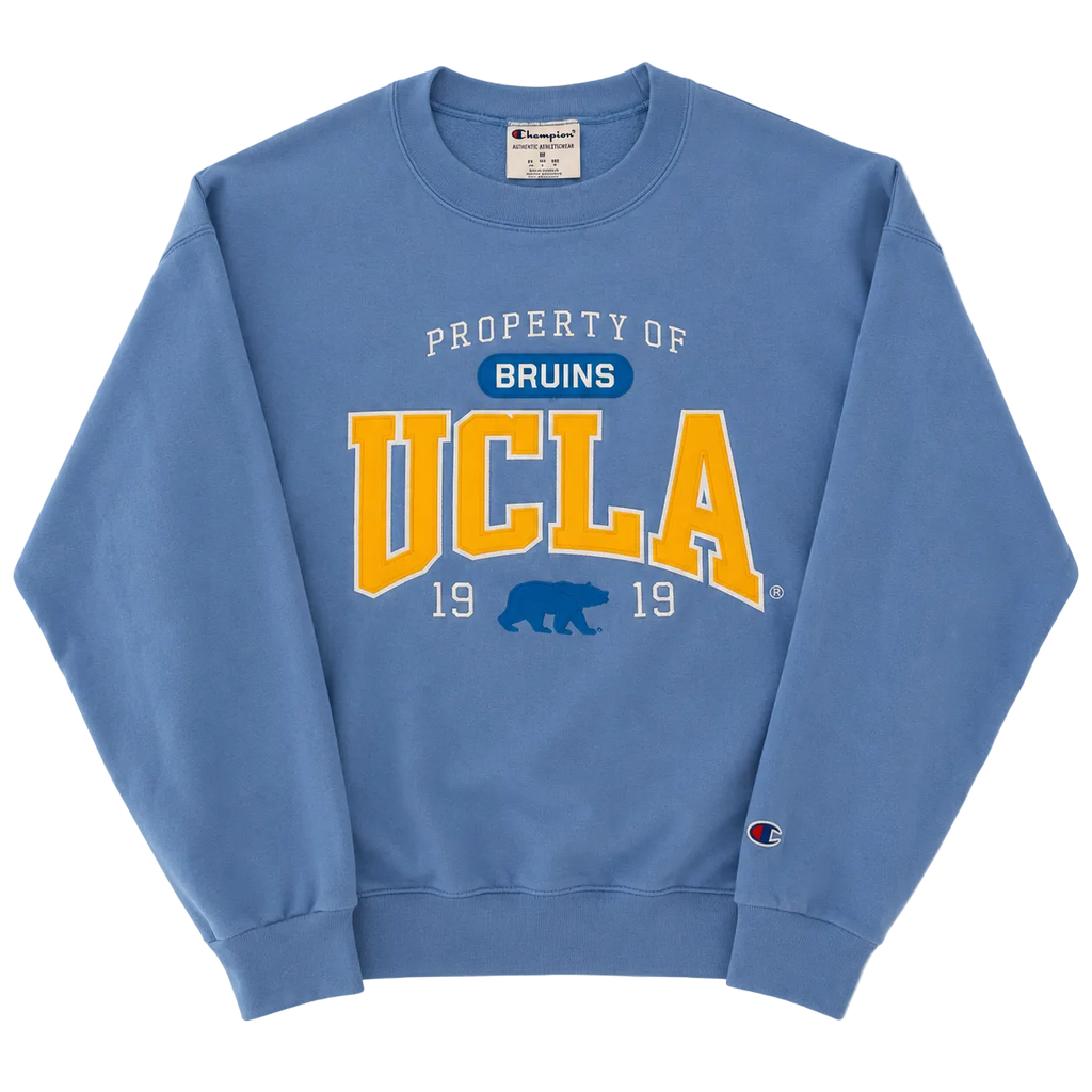 CHAMPION UCLA EMBROIDERED LOGO SWEATER (M)